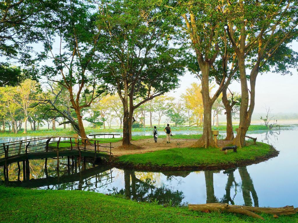 Cinnamon Habarana Resort Sigiriya